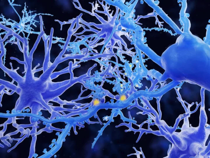 Astrocytes modulating neuronal activity