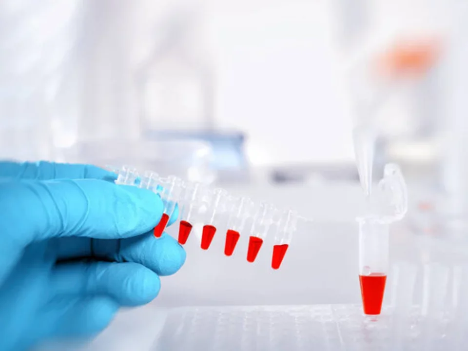 Scientist holding microcentrifuge tubes